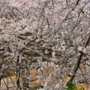 신상근린공원 이미지