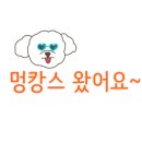 디데이펜션&캠핑