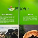 언양(서울방향)휴게소 | &#39;언양휴게소(서울방향)&#39; 맛있고 알차게 즐기기