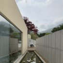 자연의 미학 이미지