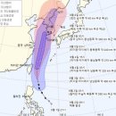 링링 이미지