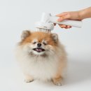 이자매펫미용원 | 고양이 브러쉬 리스피 OH라디칼 케어 펫브러쉬 위생적인 피모케어