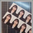 하얀달사진관 이미지