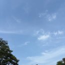 대성카클리닉 | 광주 광산구 미용실 1인 헤어샵 파마 후기 압구정헤어