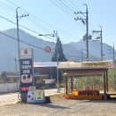 노란 은행잎이 유명한 가평 카페 커피와 과일농장, 11월3일 후기, 조금 더 일찍 가세요!