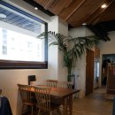 멕시칸치킨산호분점 | 울산 송정 점심 먹기 좋은 멕시코 음식 레스토랑 엘라토 파히타