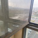 입주청소블루케어