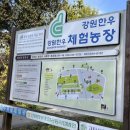 춘전목장 네이버블로그