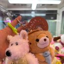 탑동오락실 이미지