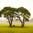 김기수 농장 이미지