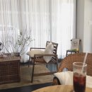 모어모스트(more most) 이미지