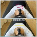 광주기획 | [광주 북구 필라테스] 아침이 달라지면 하루가 바뀝니다! 포레디움 '오전 활력 부스터' 신규강사 런칭 특가