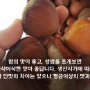 인더하동 이미지