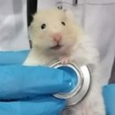 신순철 복싱클럽(보라점) | [m] 나는야 엄살쟁이 9월