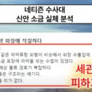 태평유통