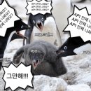 연희로