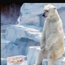 기다리다 이미지