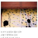 좋은 글귀,힐링글귀,좋은 명언 /폰 배경사진모음 (1) 이미지