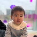 우리또래어린이집 | 만 1세 아기 어린이집 적응 1주차 후기