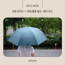 소나기성인용품 | 프리미엄 리젠시 초경량 풀카본 장우산 솔직 후기