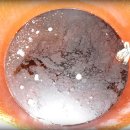 대한맥반석 이미지