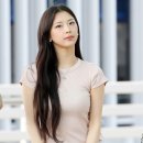 개이쁨 이미지