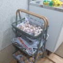 루이까스텔홈플러스