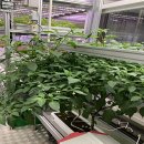 기지농장 이미지