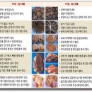 한가위, 중추절(仲秋節) 어원과 유래 이미지