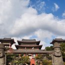 색달동-16 | 제주도 겨울여행 약천사, 야자수와 돌하르방 바다가 보이는 서귀포 사찰 추천