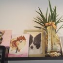 이누펫살롱 이미지