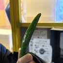 세영붕어빵 네이버블로그