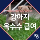 장현동물병원 이미지