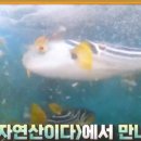 아세아한의원 이미지