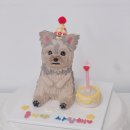 댕파티셰 | [인천 서구 애견수제간식] 인천강아지케이크 인천애견수제간식 댕파티셰 후기🎂🐾