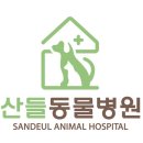 산들동물병원 | 중랑구 망우동 동물병원 산들동물병원 위치 오는길 후기