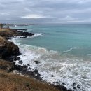 세이너스 이미지