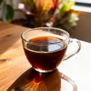 유청농장 | 엘살바도르 핀카 부에노스아이레스 파카마라 에어로빅 내추럴 커피의 모든 것