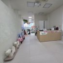 키즈팡팡 | 부산 사상 아이랑 무료 문화센터 아이팡팡, 키즈카페 자유놀이실 후기