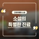 고양이병원 소설 이미지