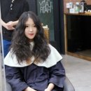 펌을 하셨다면 포니테일스타일도 추천 히피펌후기 군산시 수송동 미용실추천[코라인 더 레이디헤어 원장]