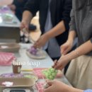 비노솝