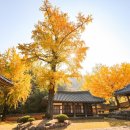 함안향교 이미지