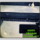 허머 싱크케어 | 강릉견소동싱크대막힘 역류 뚫는 이곳에 맡기세요~