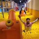 앨리스파파 시민공원 이미지