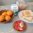 제주 판포 놀구름 독채숙소 이미지