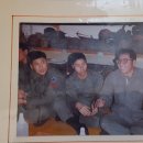 중간상사리 이미지