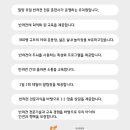 선샤인 반려견 유치원 이미지