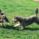 종은농장 이미지