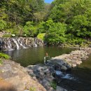 축령산 코지인 이미지
